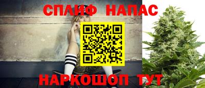 Альфа ПВП Славянск-на-Кубани