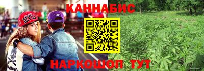 Альфа ПВП Славянск-на-Кубани