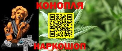 Альфа ПВП Славянск-на-Кубани