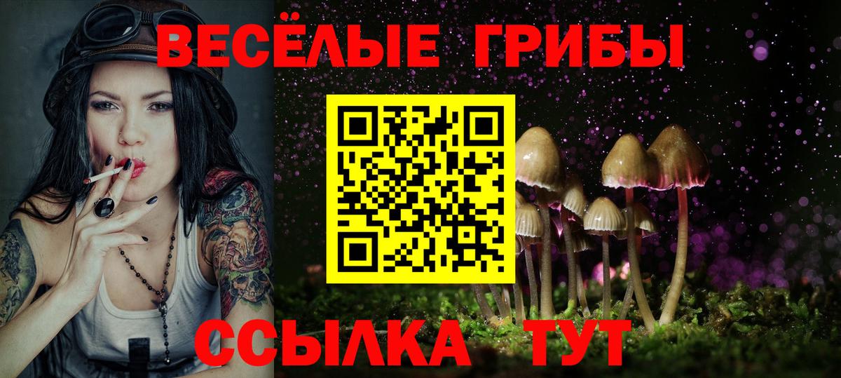 Оренбург  Псилоцибиновые грибы MAGIC MUSHROOMS  Вход с VPN 