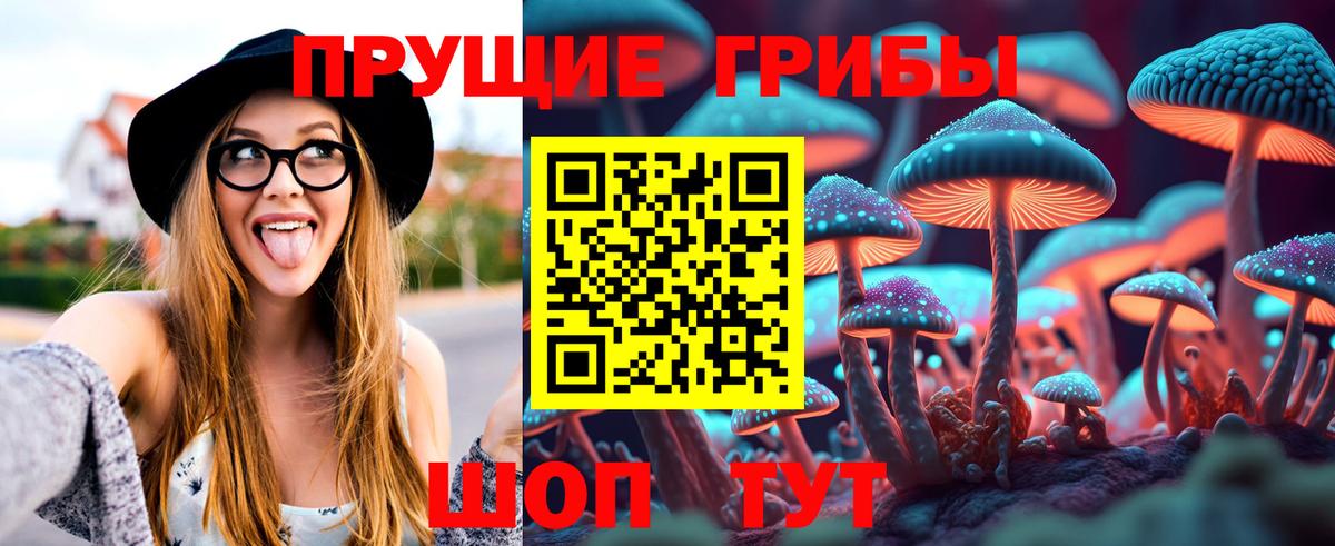 Псилоцибиновые грибы Psilocybe Оренбург